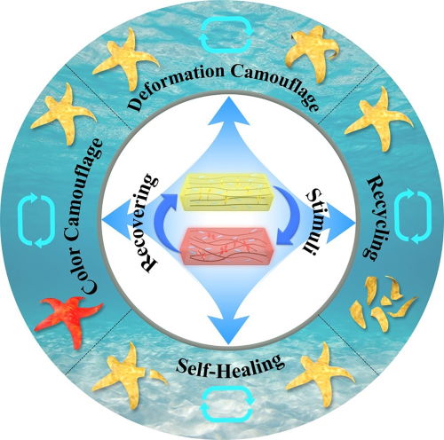 中國科學(xué)家研發(fā)出海星仿生軟體機(jī)器人 兼具自然偽裝與斷肢重生能力