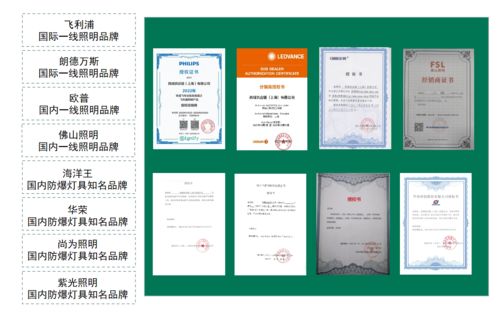 科學(xué)選購新體驗 西域照明產(chǎn)線月上線，以自然科學(xué)研究整合產(chǎn)品